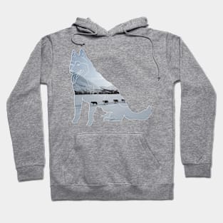 Huski dog in snow - dogsledging Hoodie